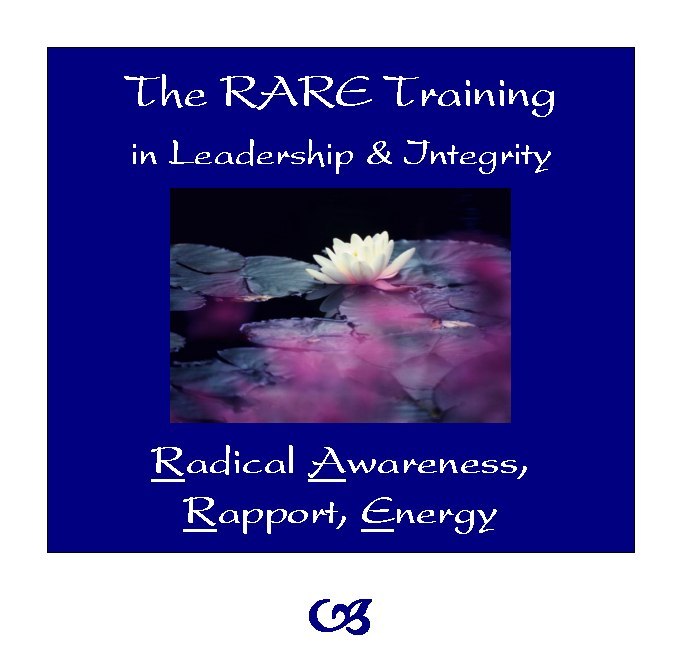 Transformational Leadership Training Program
